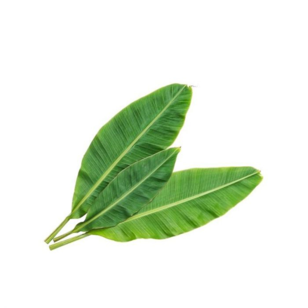 Banana Leaves - Sunberry Fresh - Herbs