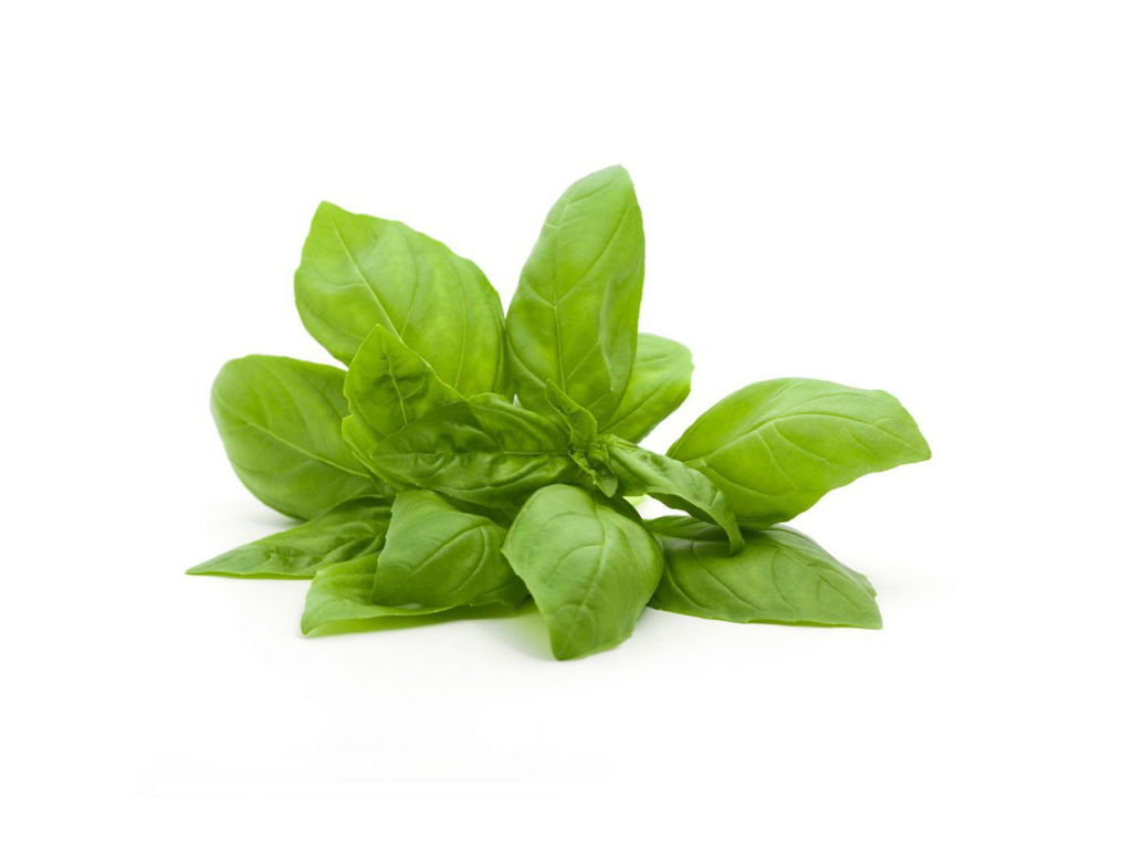 Basil Cress - Sunberry Fresh - Cresses