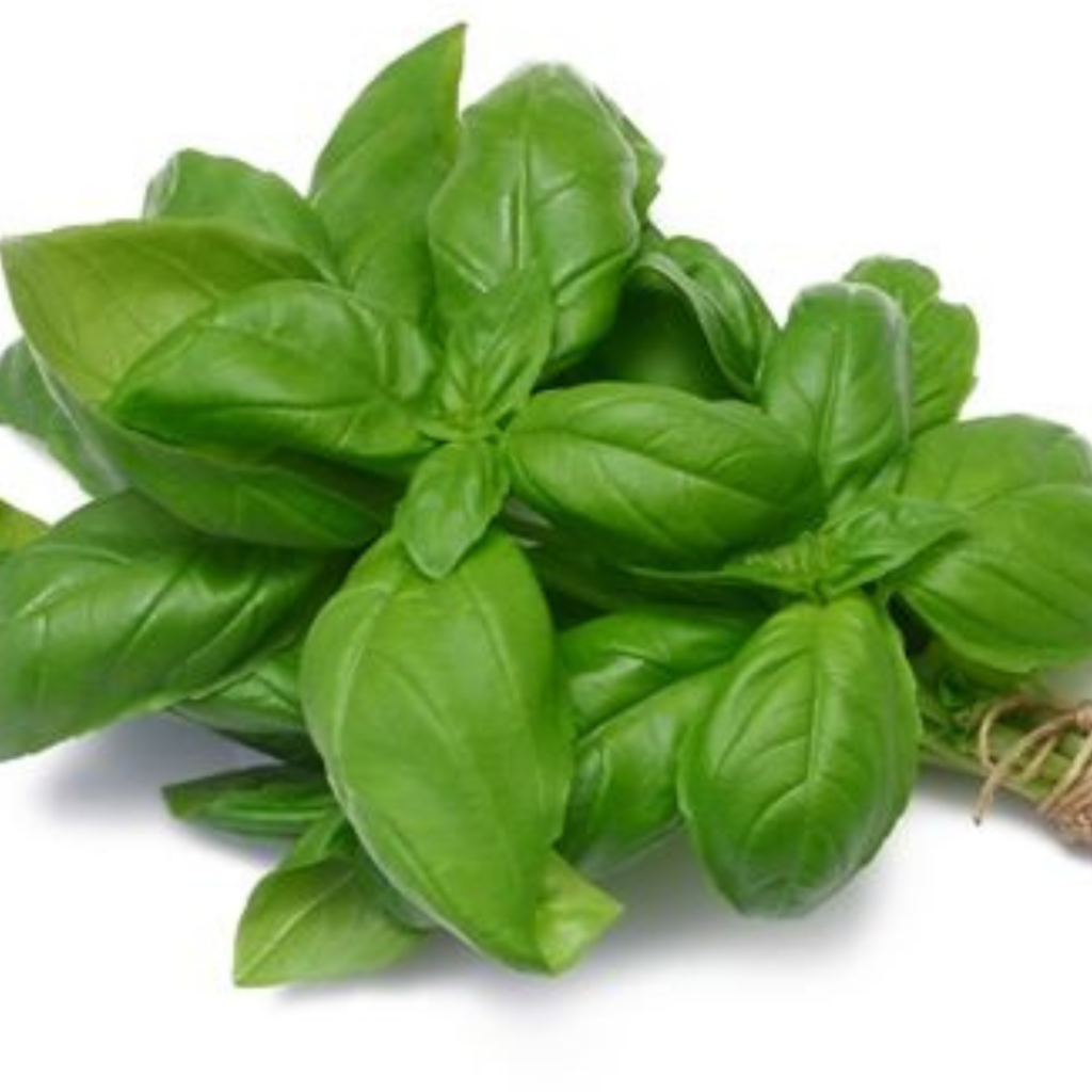 Basil Leaves - Sunberry Fresh - Herbs