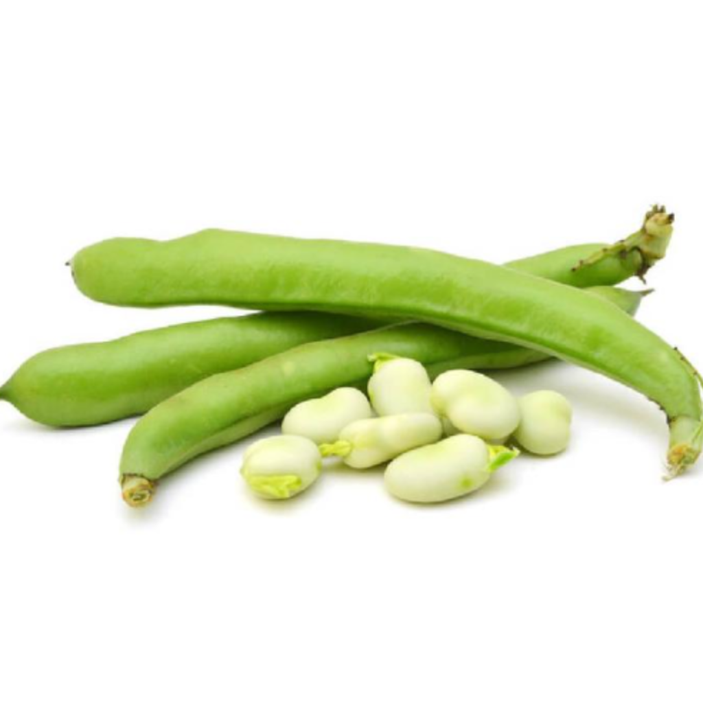 Beans Green Broad - Sunberry Fresh - Vegetables