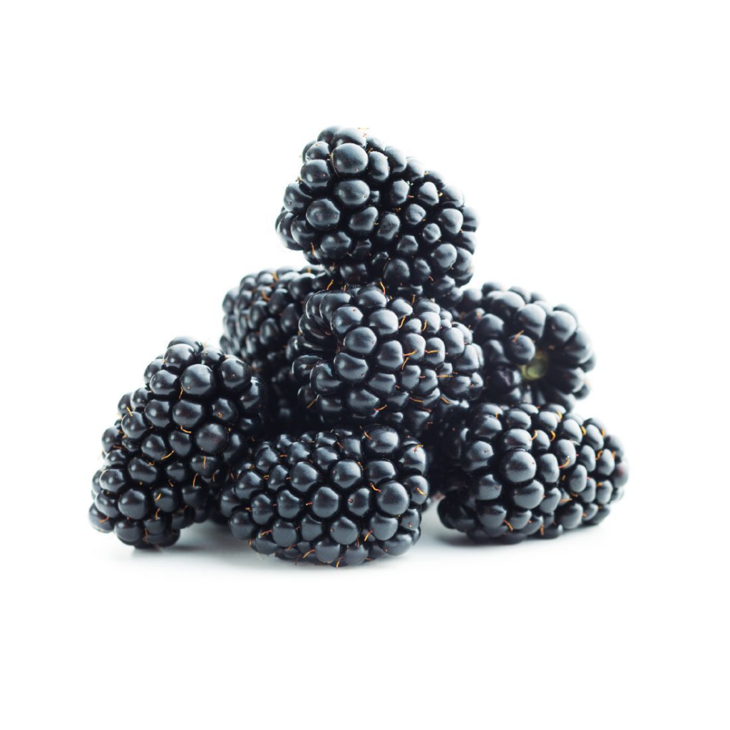 Blackberry Fresh 125G - Sunberry Fresh - Fruits