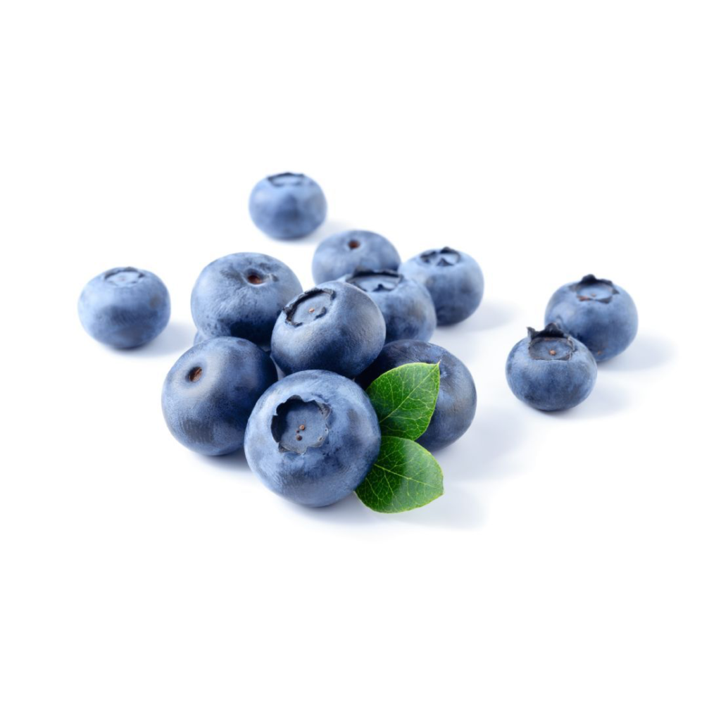 Blueberry Fresh 125G - Sunberry Fresh - Fruits