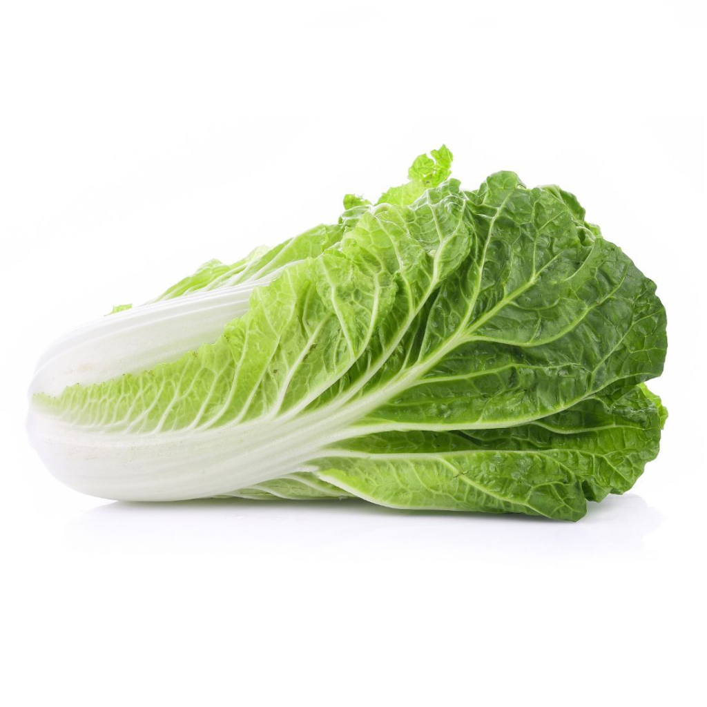 Cabbage Chinese - Sunberry Fresh - Vegetables