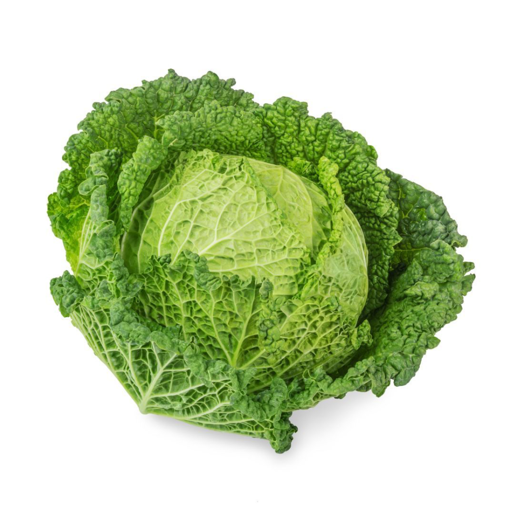 Cabbage Savoy - Sunberry Fresh - Vegetables