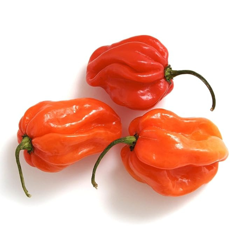 Chili Habanero Red - Sunberry Fresh - Vegetables