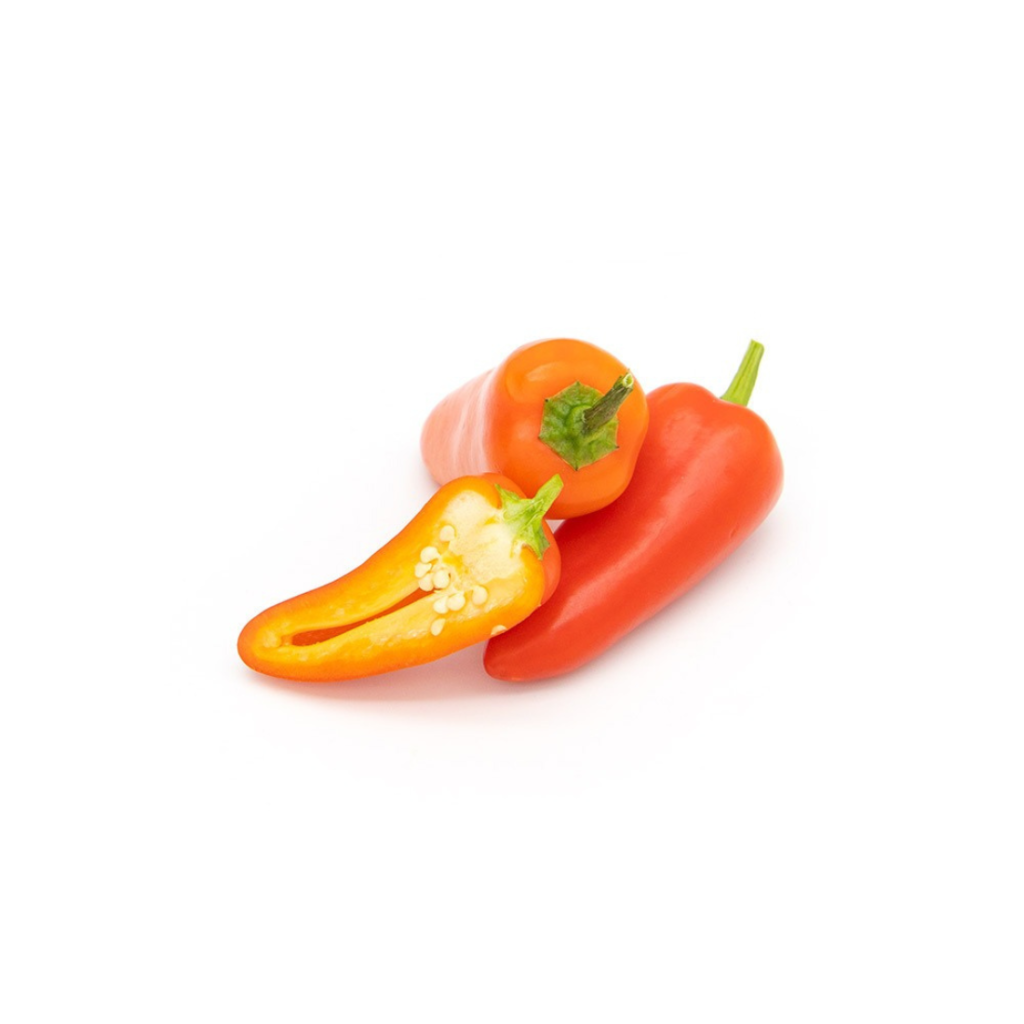 Chili Jalapeno Red - Sunberry Fresh - Exotics