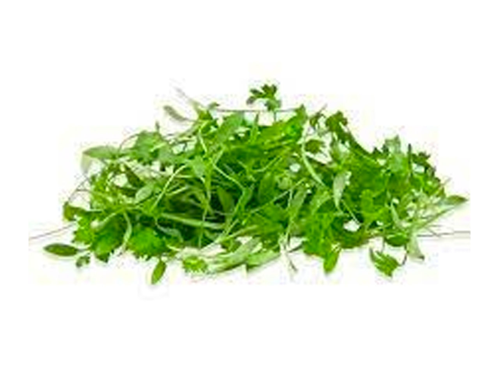 Coriander Cress - Sunberry Fresh - Cresses