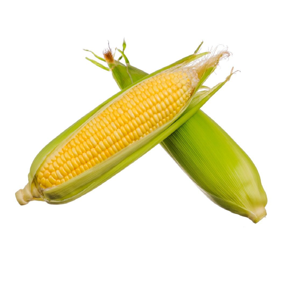 Corn On Cob Imported 1Kg - Sunberry Fresh - Vegetables