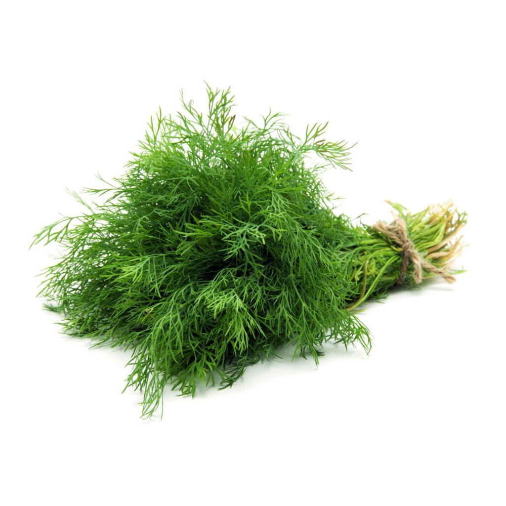 Dill Leaves - Sunberry Fresh - Herbs