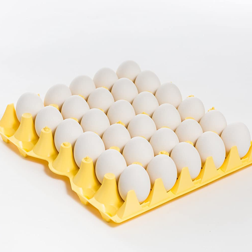 Egg Fresh UAE 360Pcs - Sunberry Fresh - Poultry