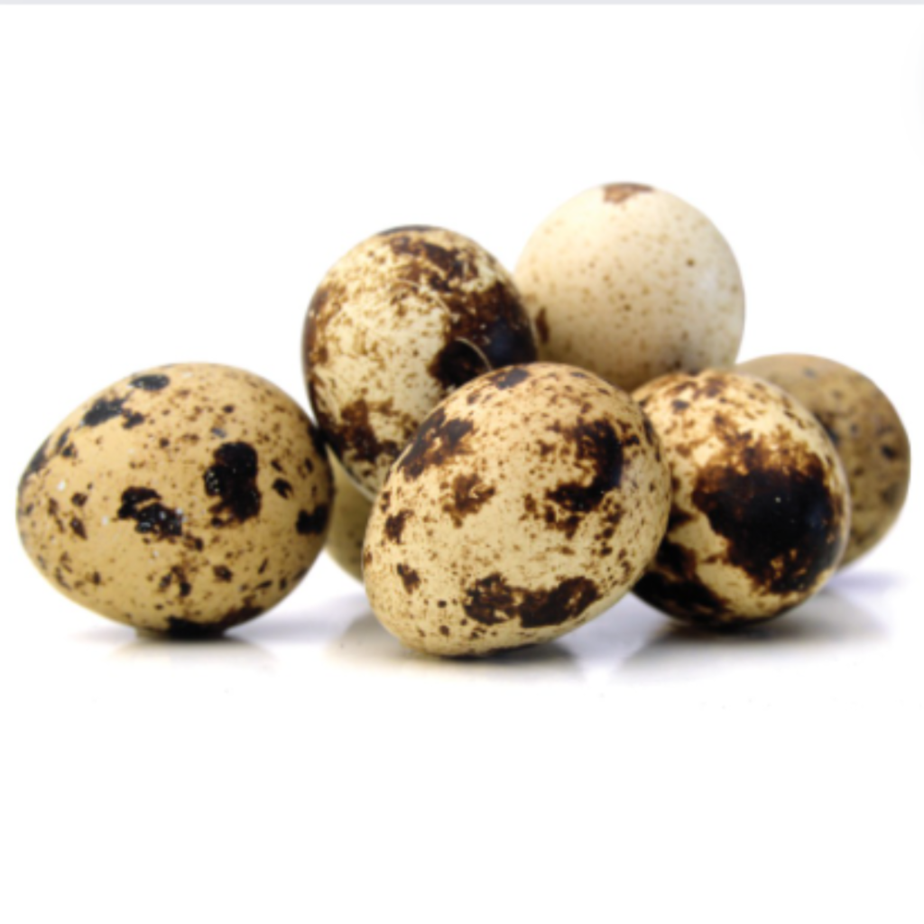 Egg Quail 12Pcs - Sunberry Fresh - Poultry