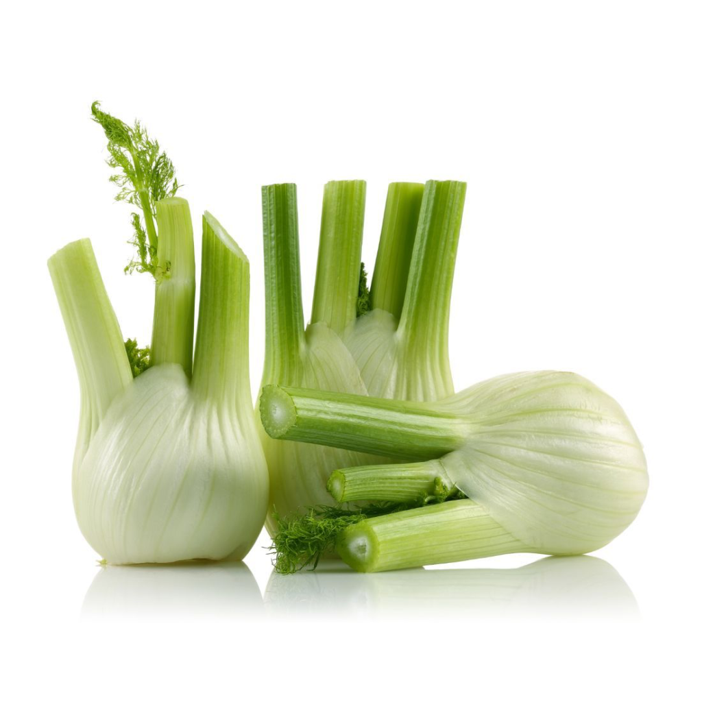 Fennel - Sunberry Fresh - Vegetables