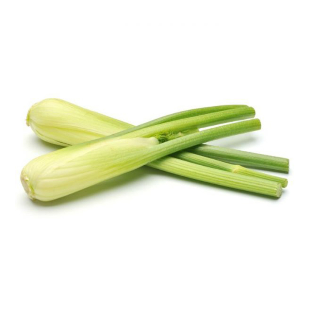 Fennel Baby 200G - Sunberry Fresh - Vegetables