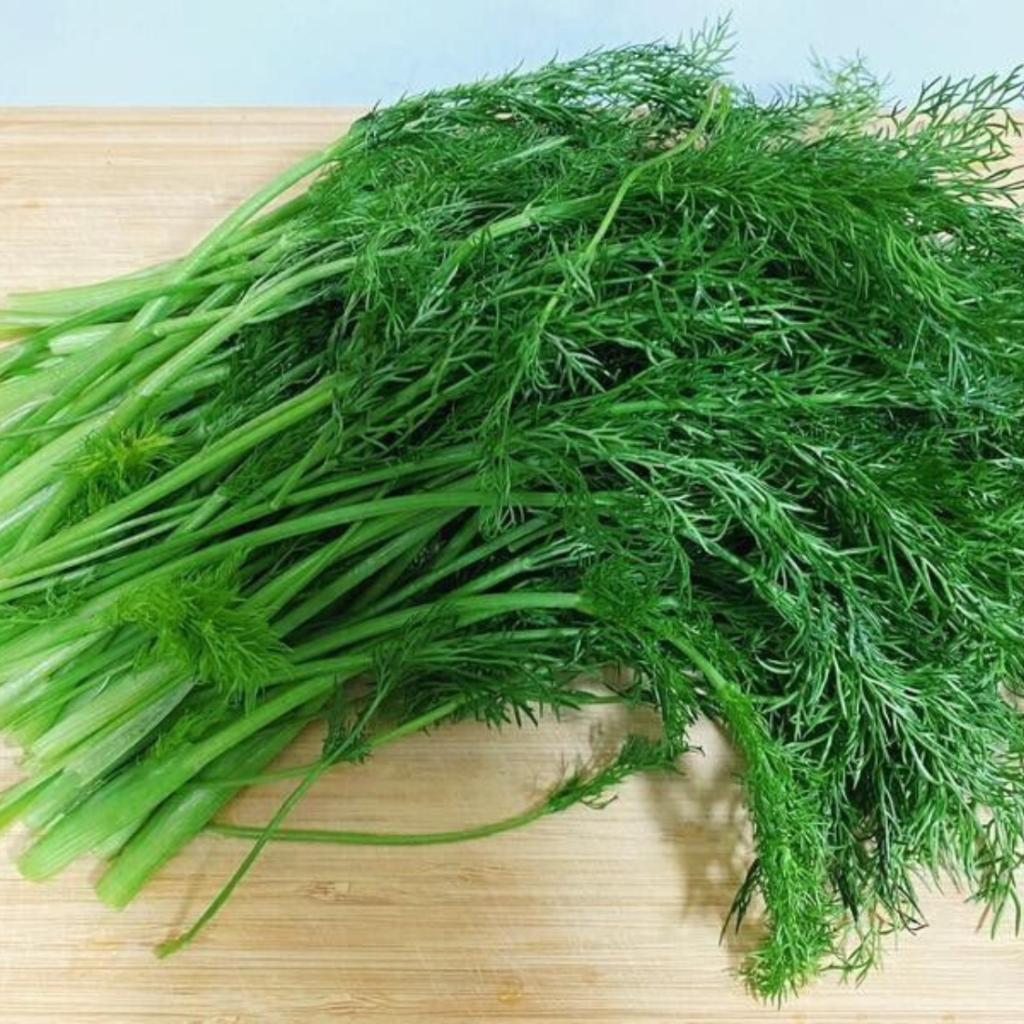 Fennel Leaves - Sunberry Fresh - Herbs