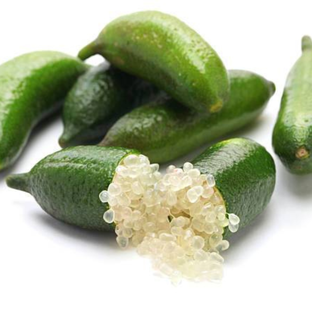 Finger Lime Australia - Sunberry Fresh - Exotics