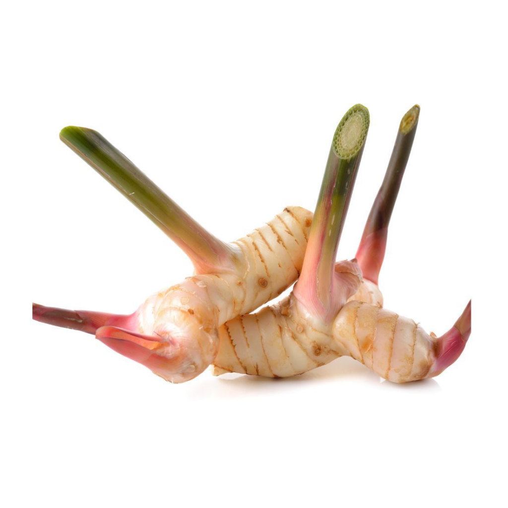 Galangal - Sunberry Fresh - Vegetables