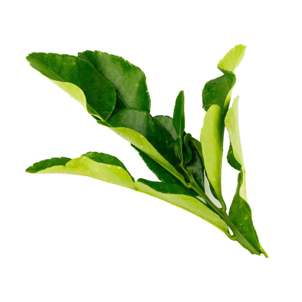 Lemon Leaves - Sunberry Fresh - Herbs