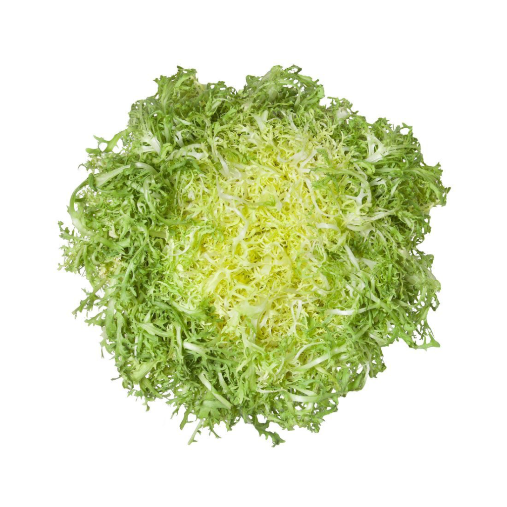 Lettuce Frisee Yellow - Sunberry Fresh - Herbs