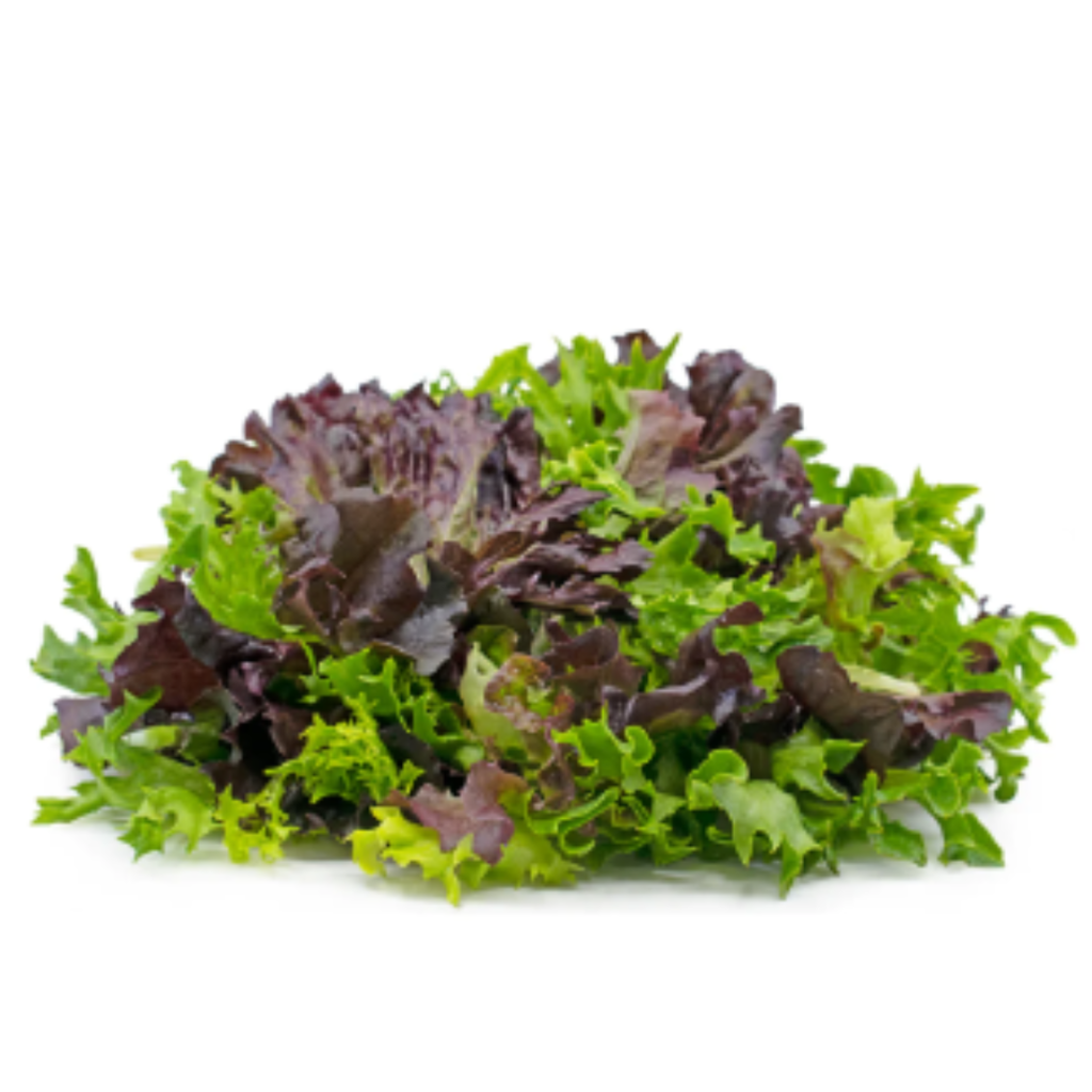 Lettuce Mix Salad - Sunberry Fresh - Herbs