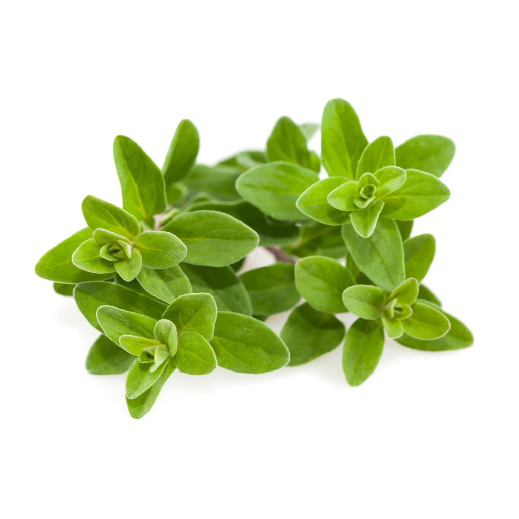 Marjoram Leaves - Sunberry Fresh - Exotics