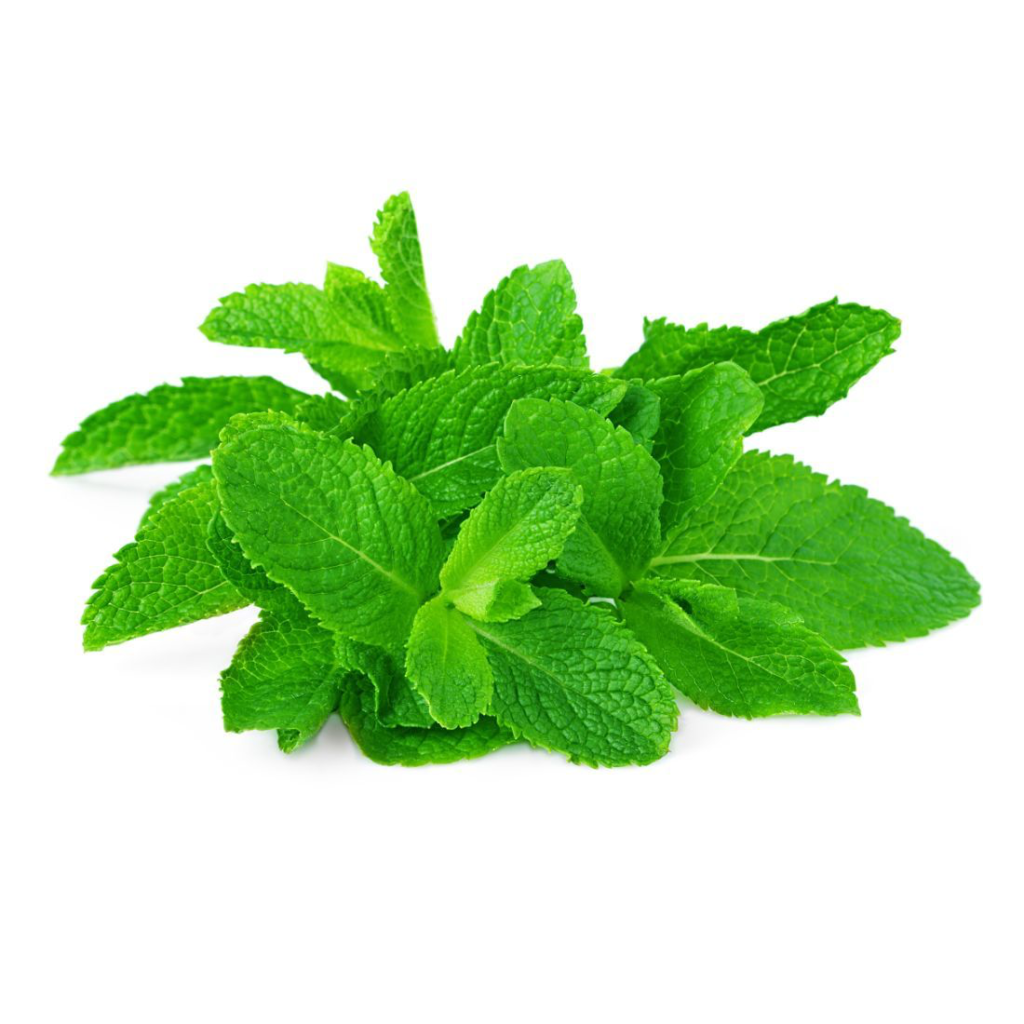 Mint Imported 100G - Sunberry Fresh - Herbs