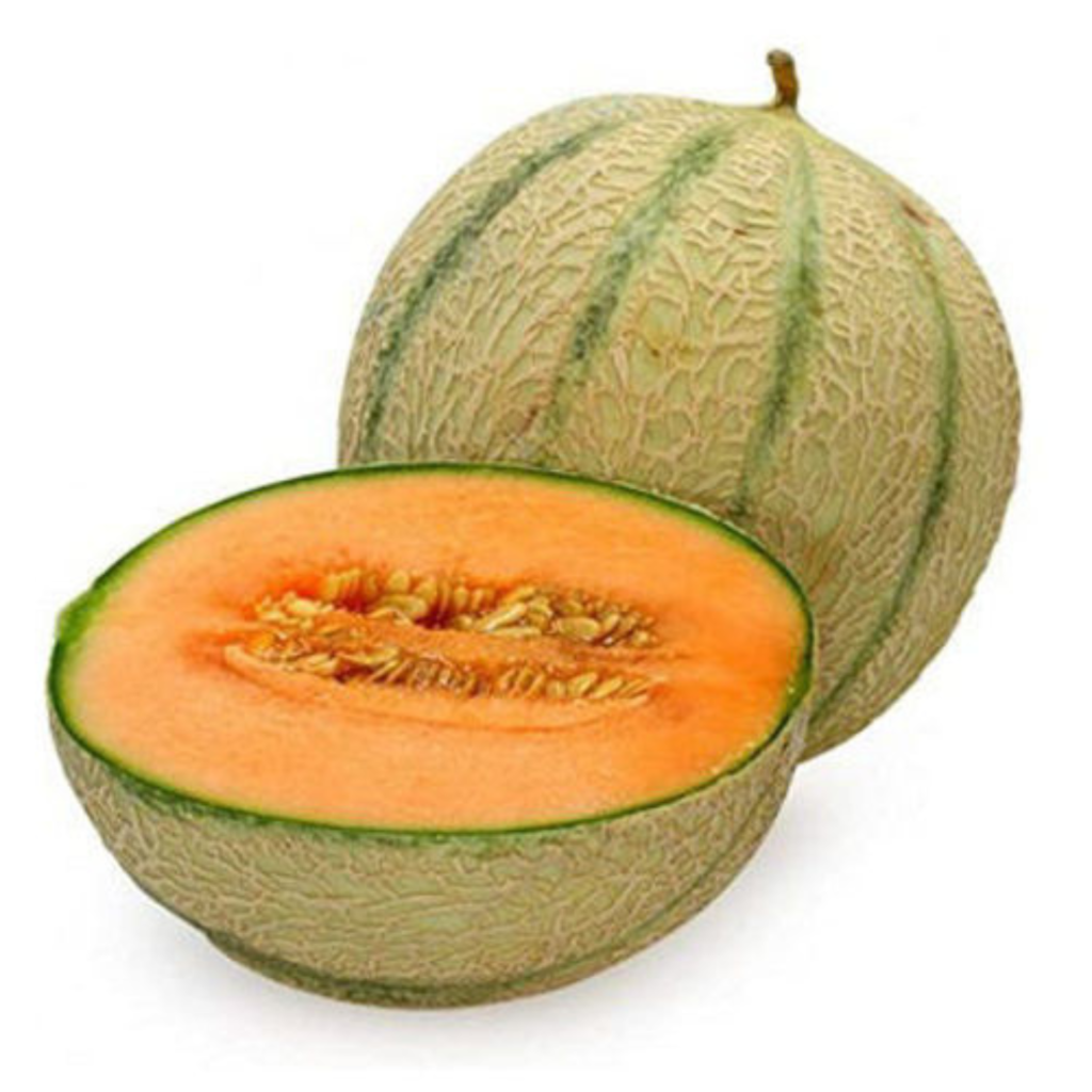 Muskmelon - Sunberry Fresh - Fruits