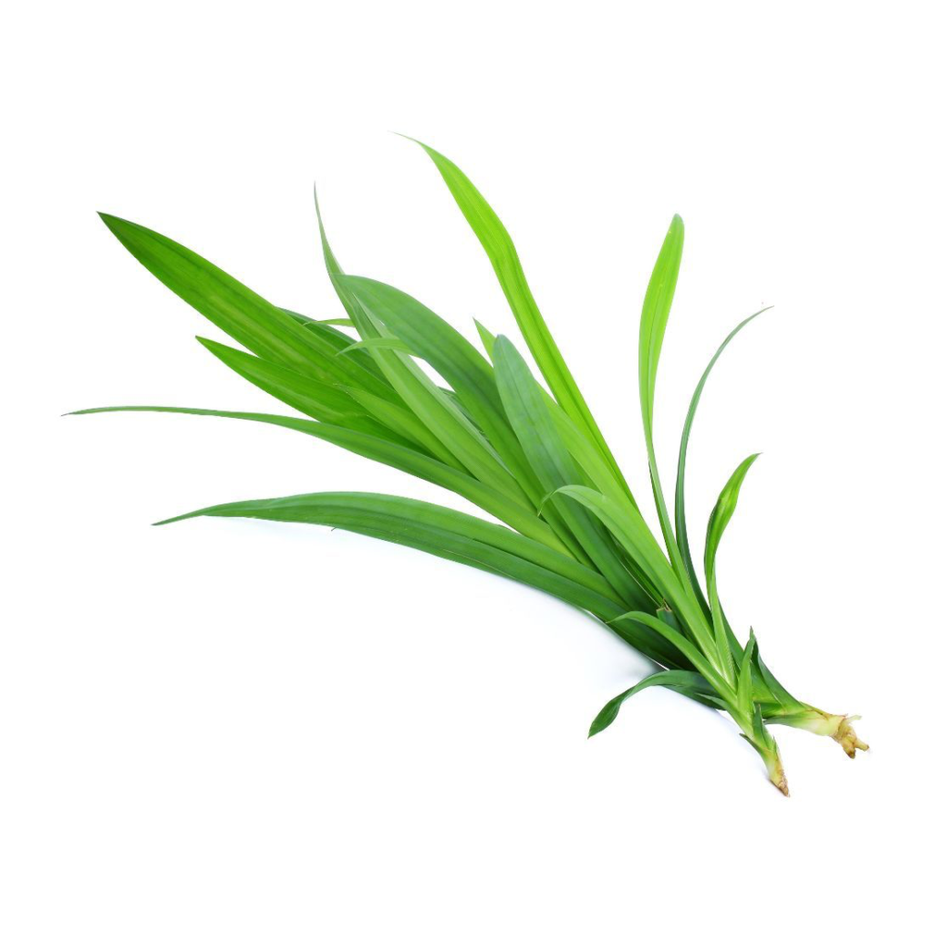 Pandan Leaves - Sunberry Fresh - Herbs