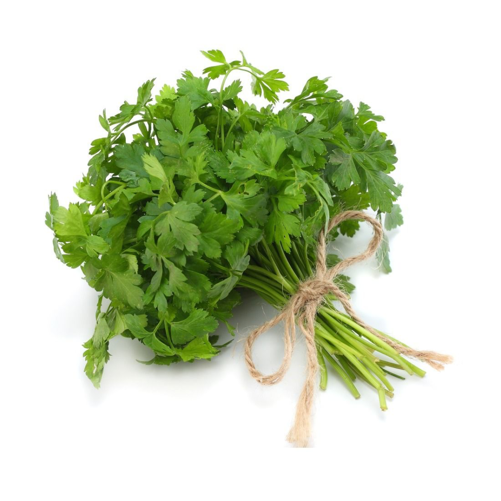 Parsley Baby - Sunberry Fresh - Herbs