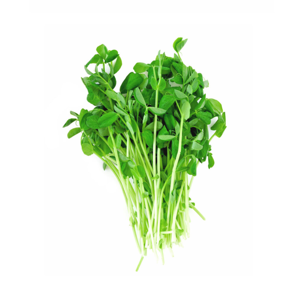 Pea Shoot 50G - Sunberry Fresh - Herbs