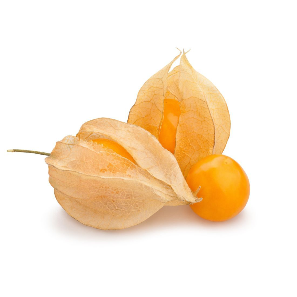 Physalis 100G - Sunberry Fresh - Fruits