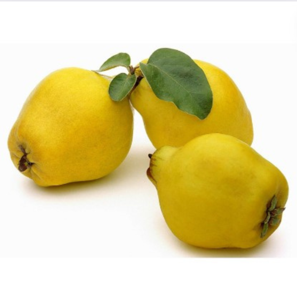 Quince - Sunberry Fresh - Exotics