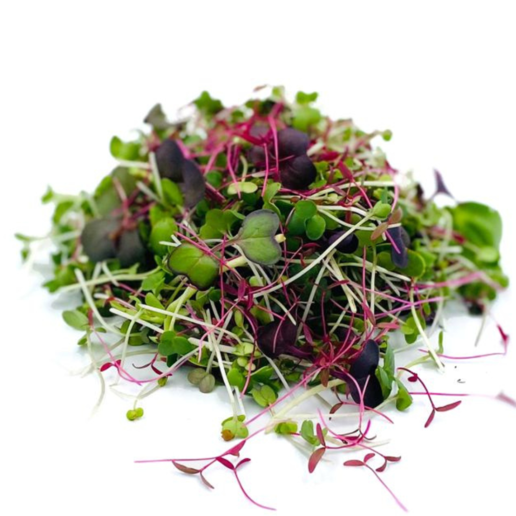 Rainbow Mix Cress Clear Pet 15G - Sunberry Fresh - Cresses