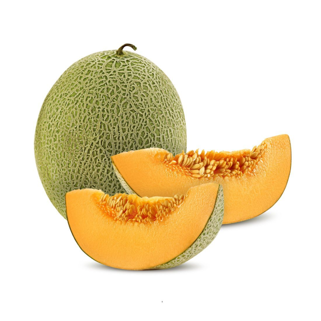 Rockmelon - Sunberry Fresh - Fruits