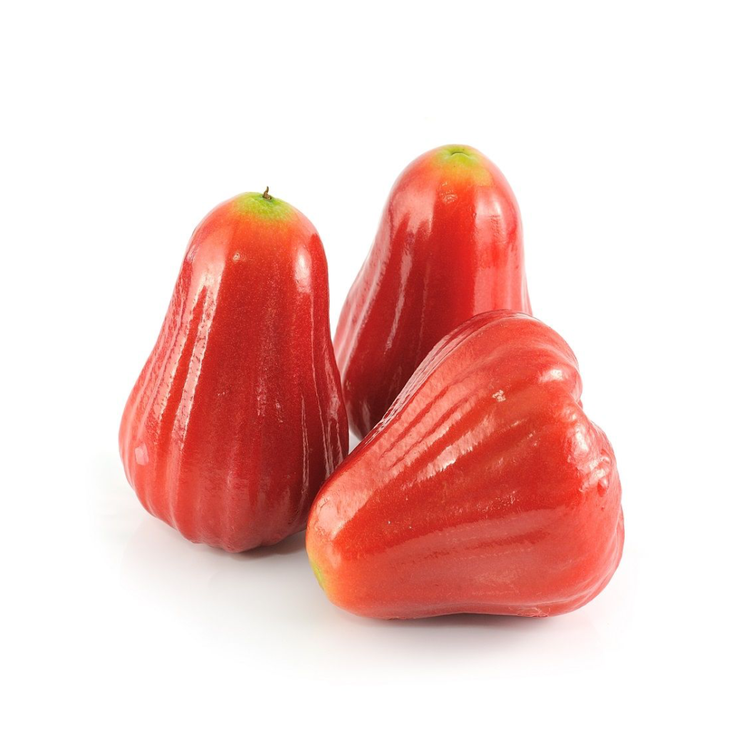 Rose Apple - Sunberry Fresh - Exotics