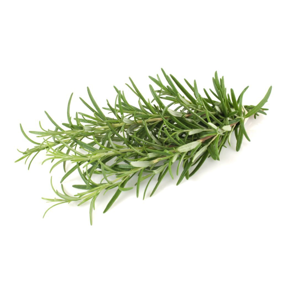 Rosemary 100G - Sunberry Fresh - Herbs