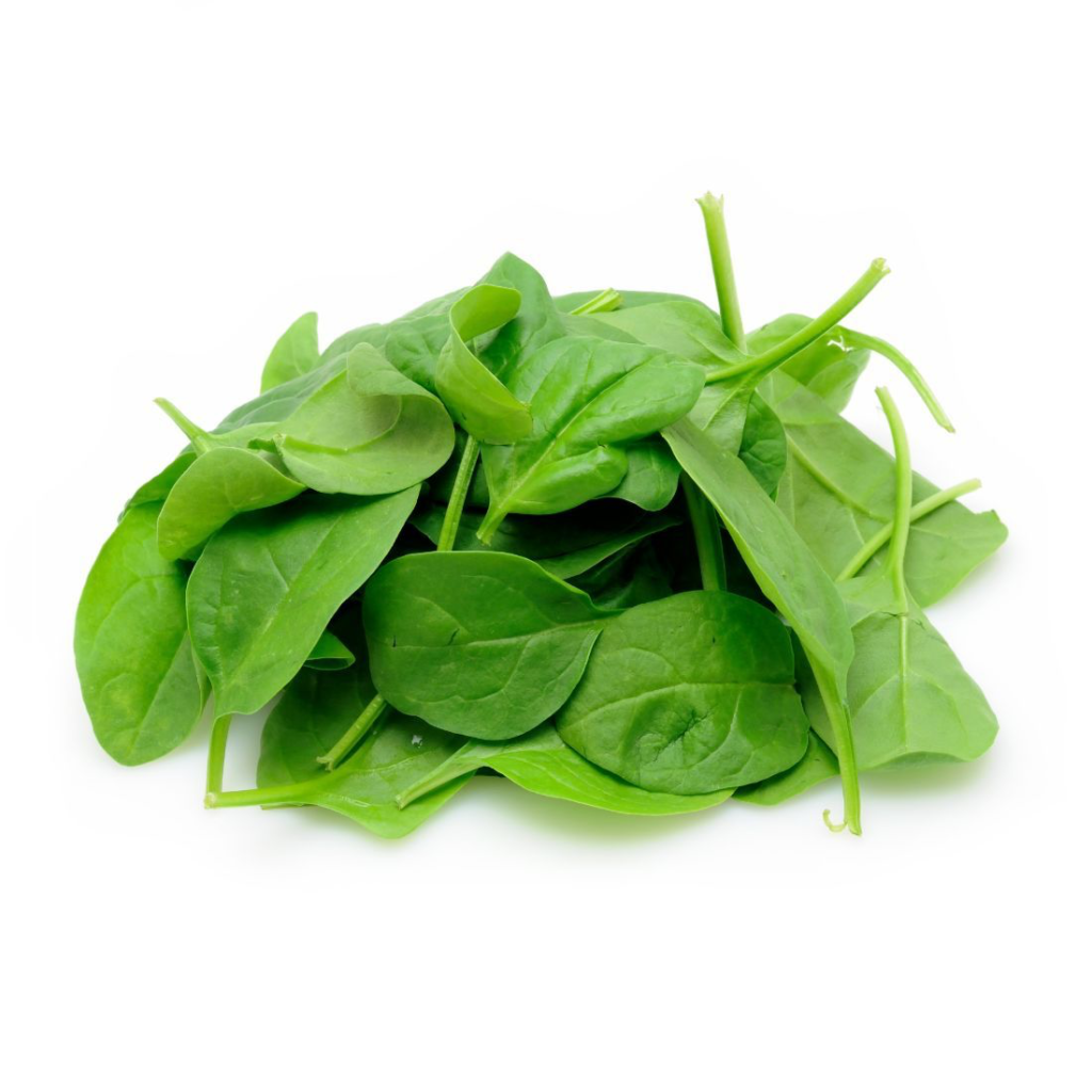 Spinach Baby - Sunberry Fresh - Herbs