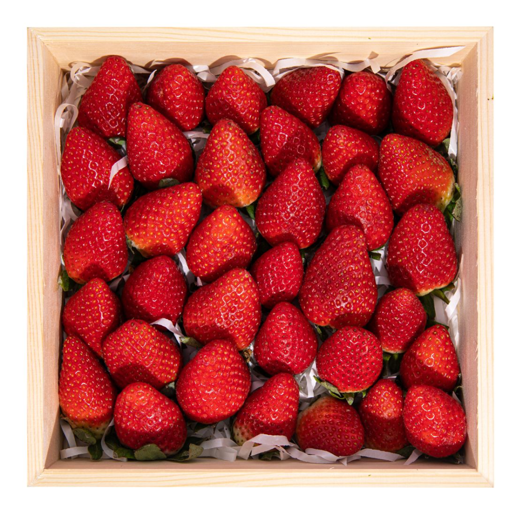 Strawberry For Jam - Sunberry Fresh - Fruits