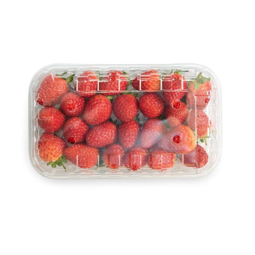 Strawberry Fresh - Sunberry Fresh - Fruits