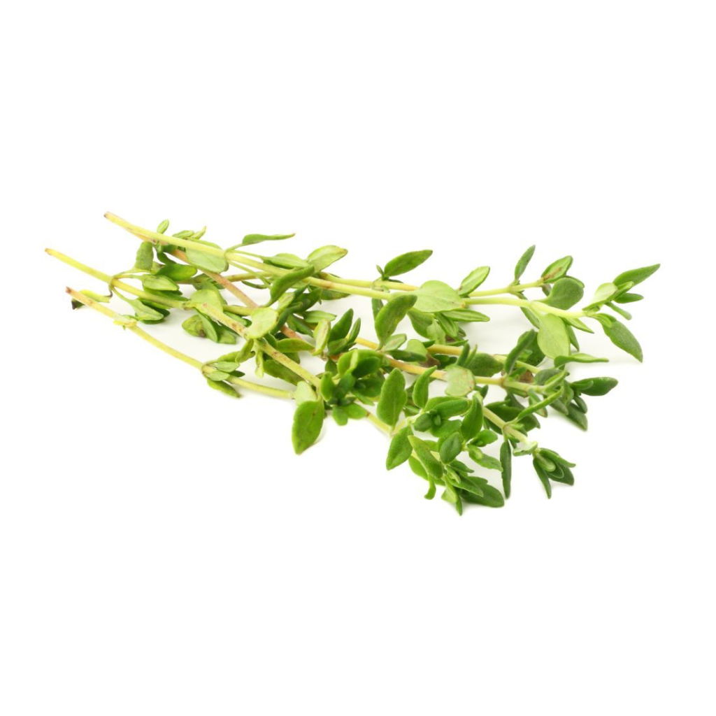 Thyme - Sunberry Fresh - Herbs