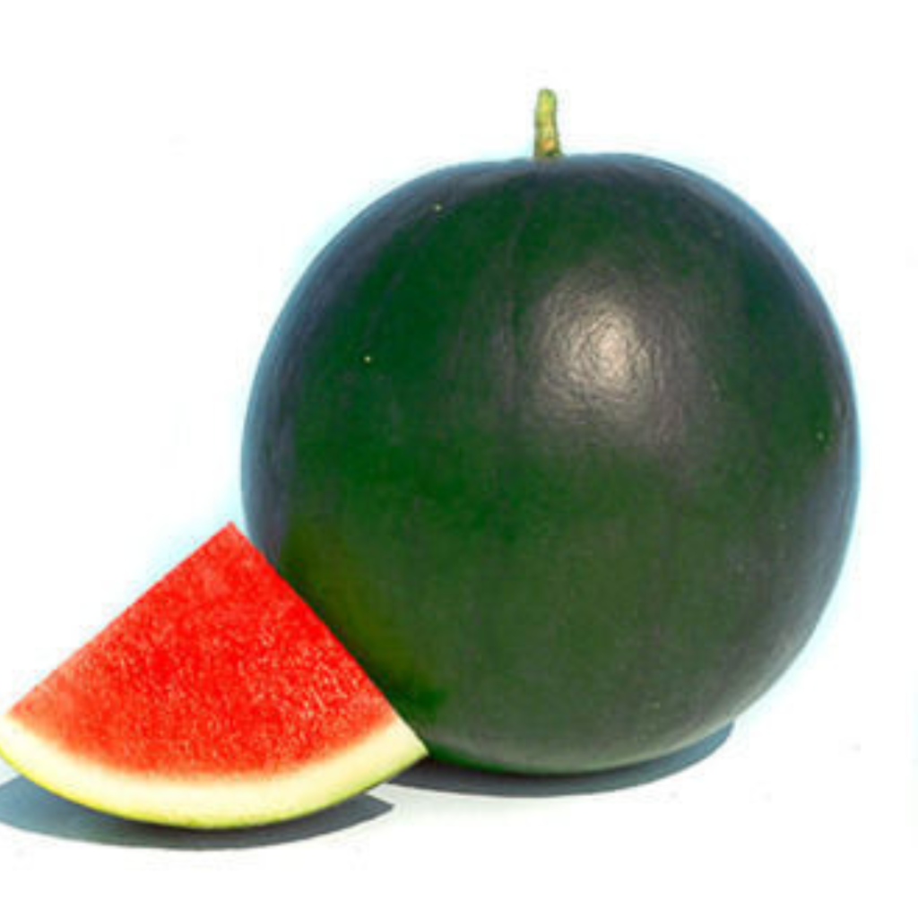 Watermelon Seedless Turkey - Sunberry Fresh - Fruits