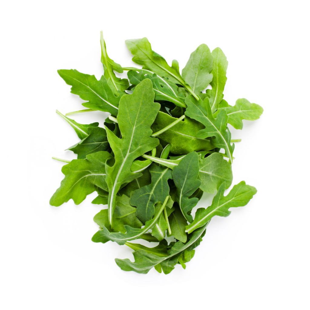 Wild Rocket Baby - Sunberry Fresh - Herbs