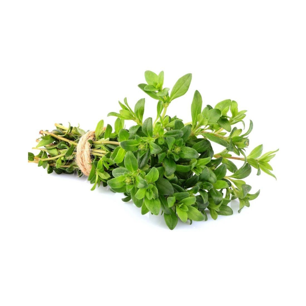 Zattar Leaves 100G - Sunberry Fresh - Herbs