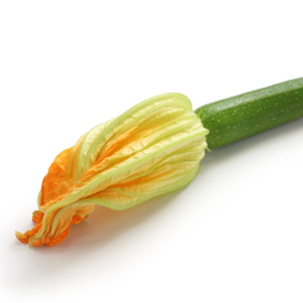 Zucchini Flower 12Pcs - Sunberry Fresh - Exotics